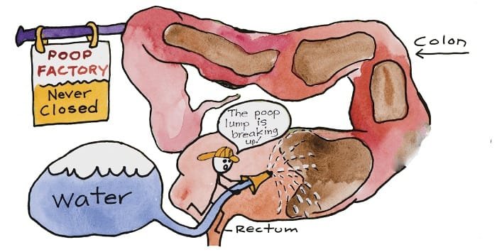 What Cleans Out Your Gut?